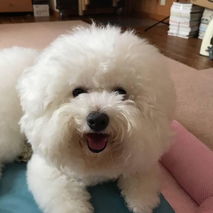 4a3f1739 4c01 4468 bb6f cd22fc844d2c 1534293626059