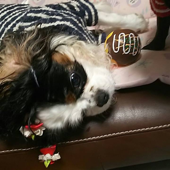 4a3f2e5f 2c01 462c 8674 53502548a527 1541419656715