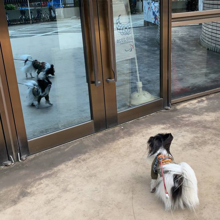 4a3fc7f5 7c57 42d7 aa32 5d4cd6b958d7 1583412516066