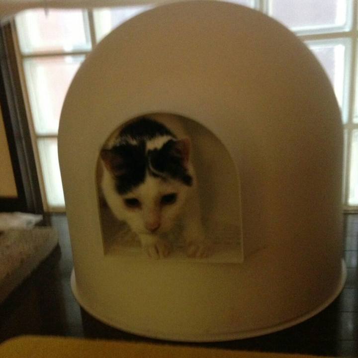 4a3fc82d 09ee 421e be85 901256048534 1563934748692