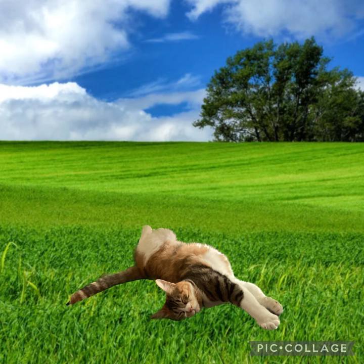 4a3fff8e 67b5 4da7 90e1 7a26e28ba8fd 1688789010739