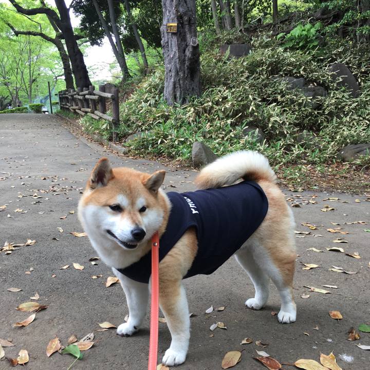 4a400a50 92b1 4084 9af3 0034e5ff5636 1556519758791