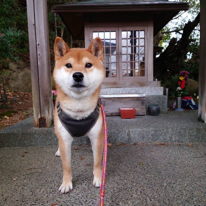 4a4014aa a458 450f 8f67 c4e7cbb26ca9 1767435015963