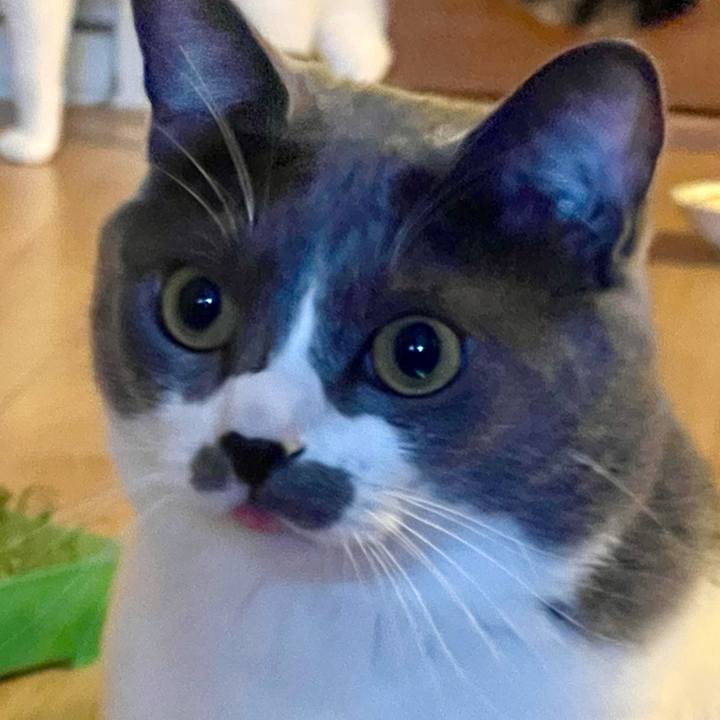 4a40158d 1ef5 4dc4 bb32 a1eb6904c3ed 1627463935484