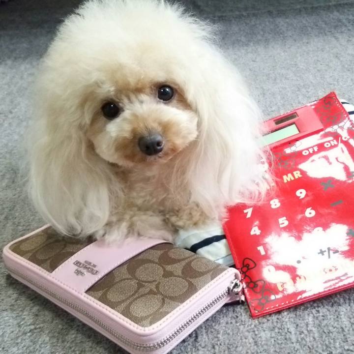 4a402a22 b352 4bd3 a2dd 5c6f57e55c6f 1536752234196