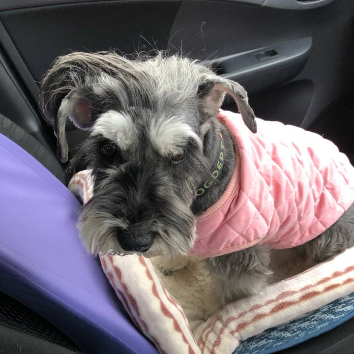 4a40432c 9910 4551 a353 c43acb63c0b3 1708602534193