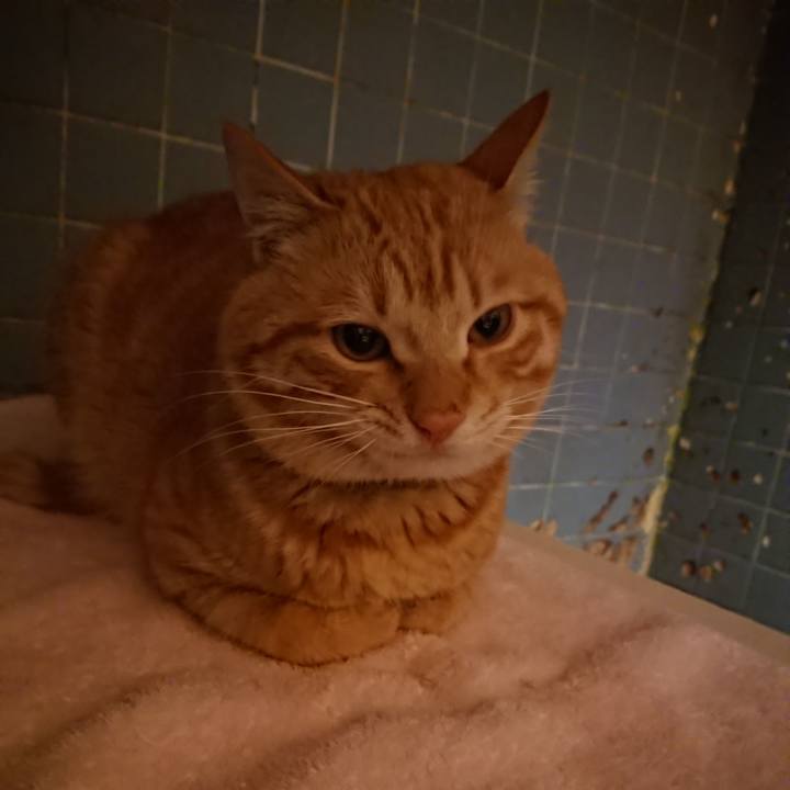 4a4051fd 7f83 43d5 b5e2 2b3715818f54 1647252822231