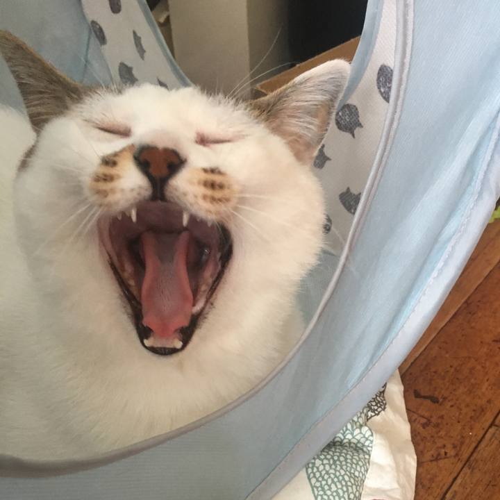 4a405792 0e87 40df 938d bf3f7cca80ae 1623019999137