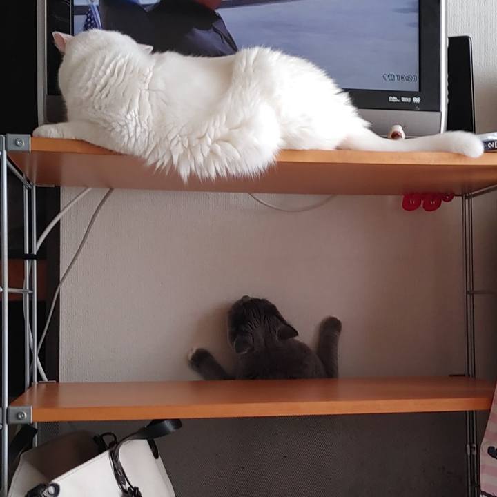 4a406b5b e9a5 4001 b282 6c0078e86da3 1629595755924