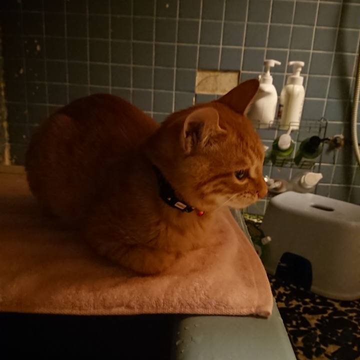 4a4085e9 e544 469e bccf affc36e8b8a6 1634639078596