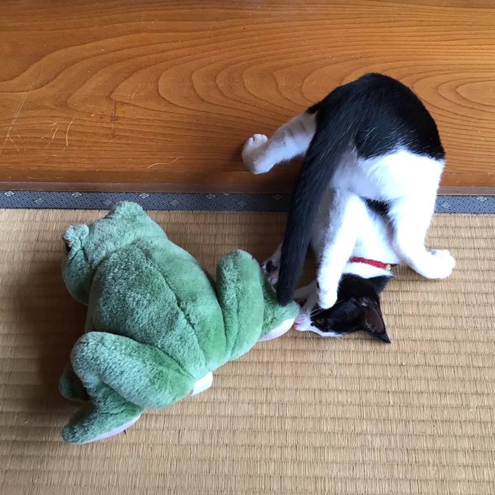 4a408a4c 2734 4560 9c3c 9135b5e7966e 1627779841834