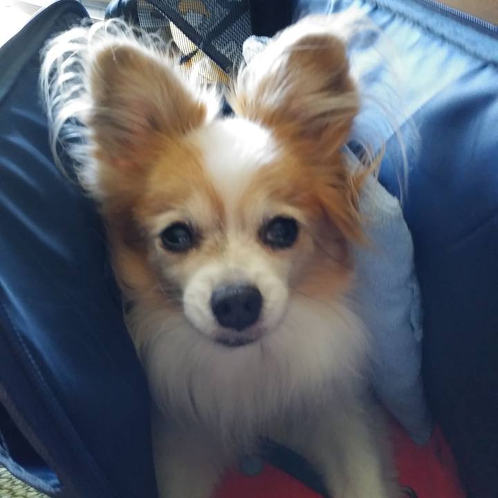 4a40a6d4 30d2 45a1 84ec 1777f5003f0d 1534129652813