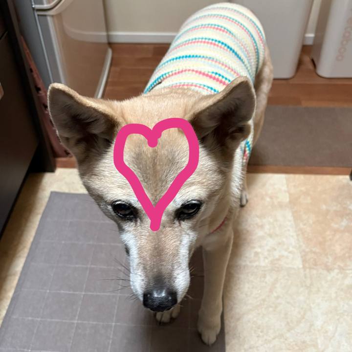 4a40b24c 757f 4791 bc6f fee567f69f73 1771302427687