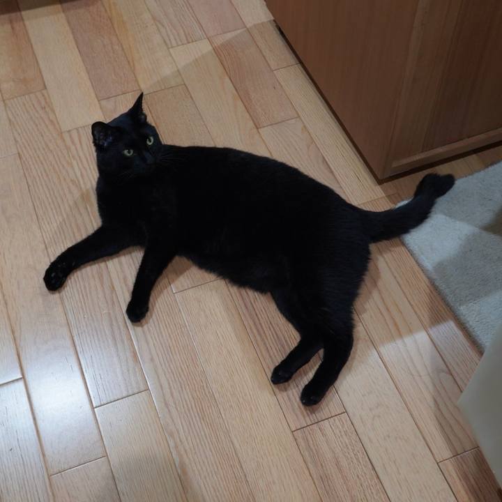 4a40eb75 0a29 4c35 b922 2d44290cfbf2 1593218369130