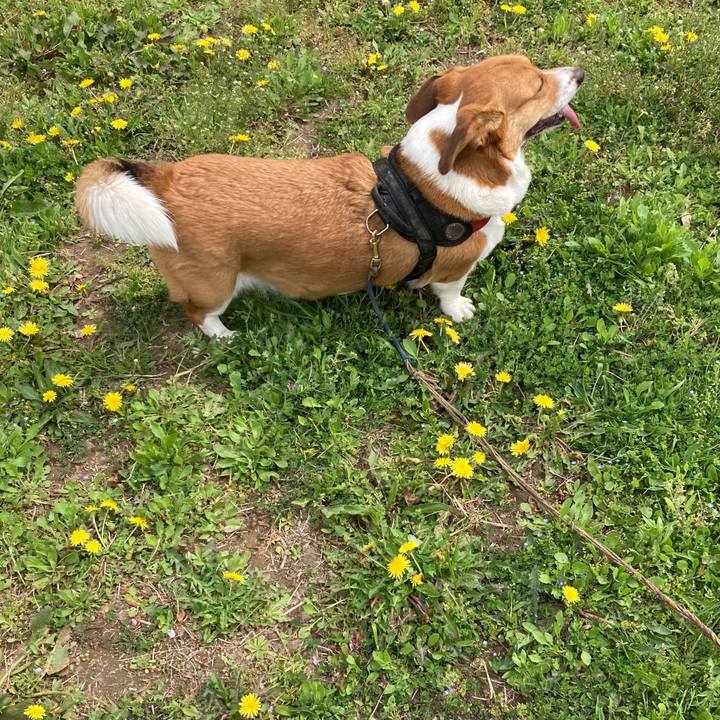 4a411a17 5b0a 44d1 9bf2 2a7fa0a32bdd 1681174436449