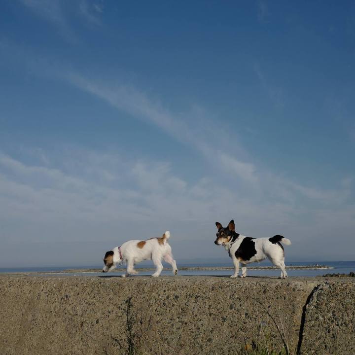 4a415c71 ea0d 477e a74f acd4b52c1e7a 1620195890850