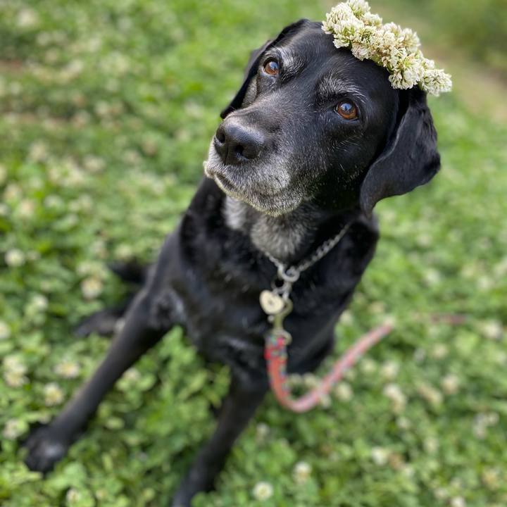 4a4181c0 5445 418e bd13 5d89ef136657 1620636740046