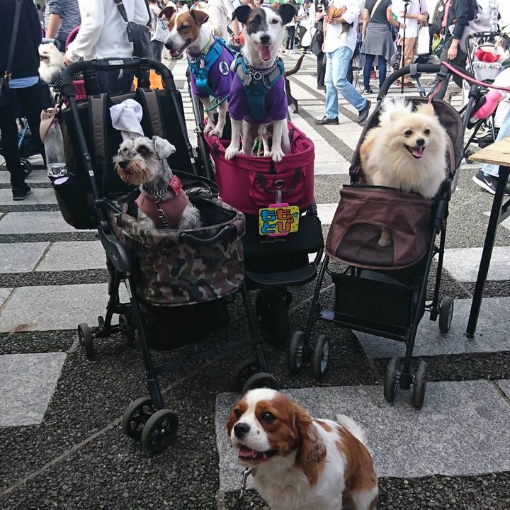 4a418ae1 3472 4580 a429 374e0f11f684 1571578052387