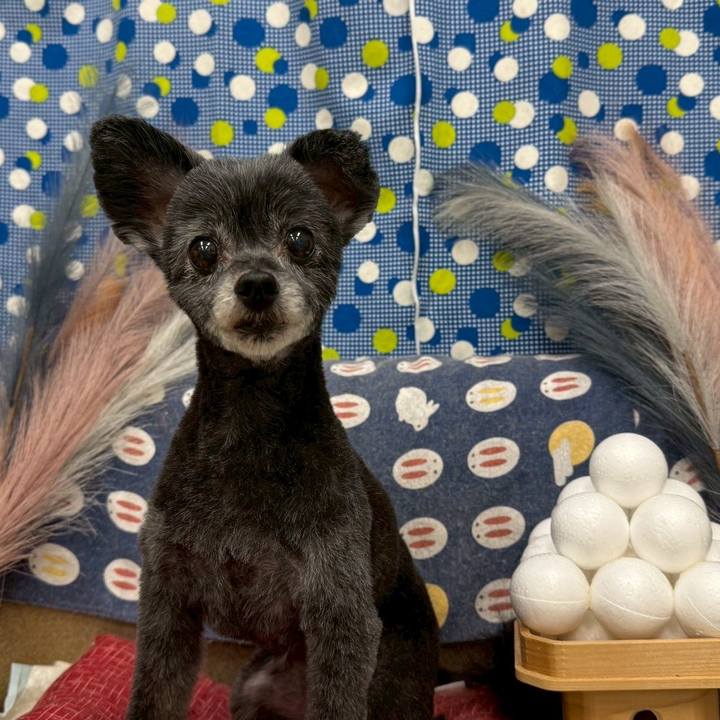 4a418fbc e0d0 4e10 a915 a72c57263d52 1756635186445