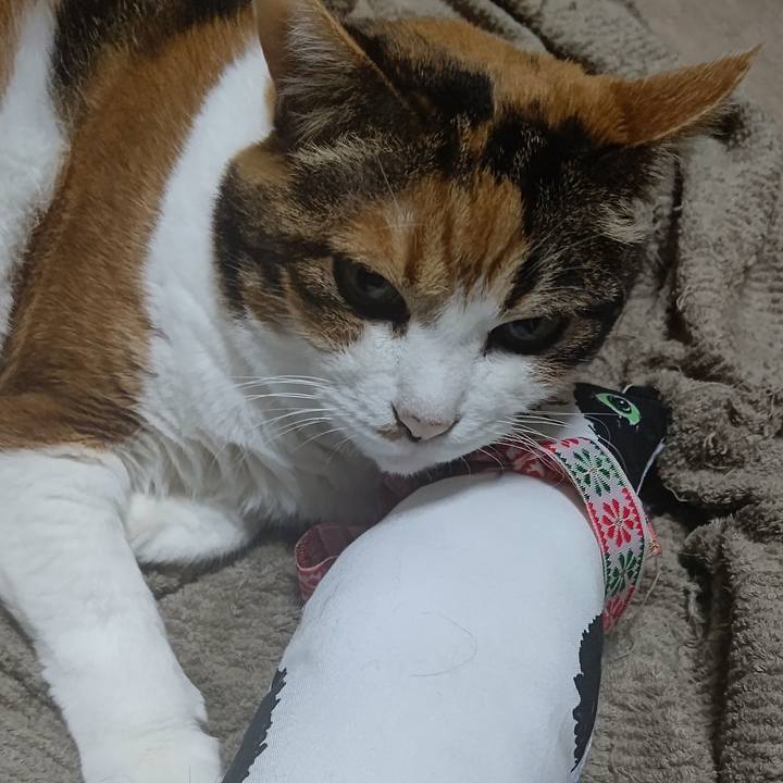 4a419bfd 7143 47ab 918d 82572b04d3c5 1633594771850