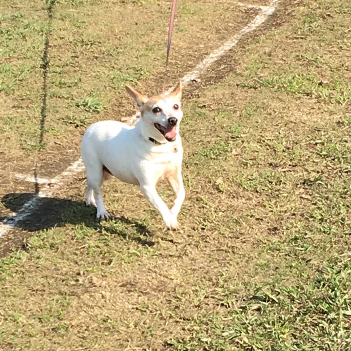 4a41a4c0 536b 4e8d a9d6 181e1e991a12 1542099106808