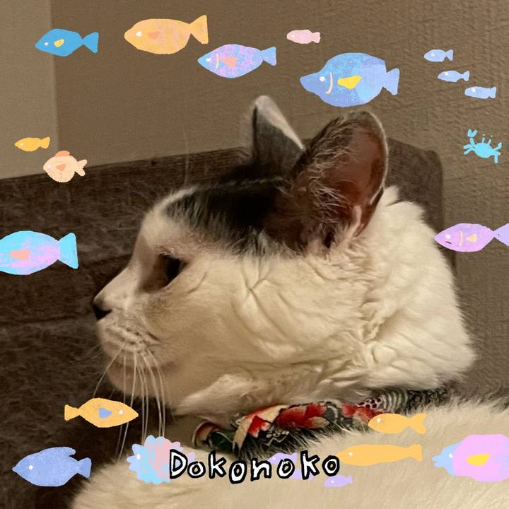 4a41ac02 2c46 4d96 af75 6830be22bc00 1755171254542