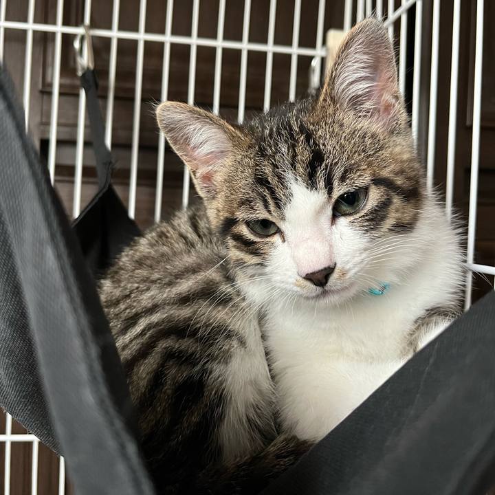 4a41bed8 7cdb 470d a0a4 f406fb313338 1769219534185