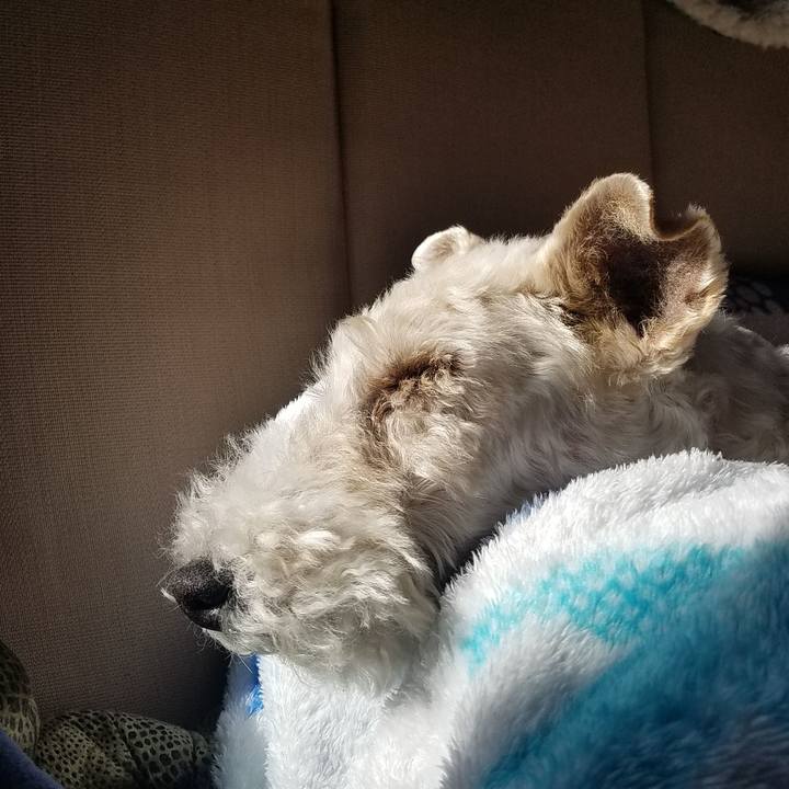 4a422c22 5662 47d6 afef d6a8dc1d962c 1555025175881