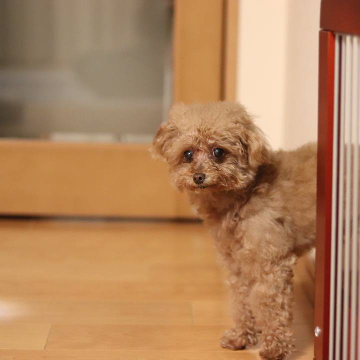 4a42522a 1296 43b3 944a 9696376adc78 1557930323020