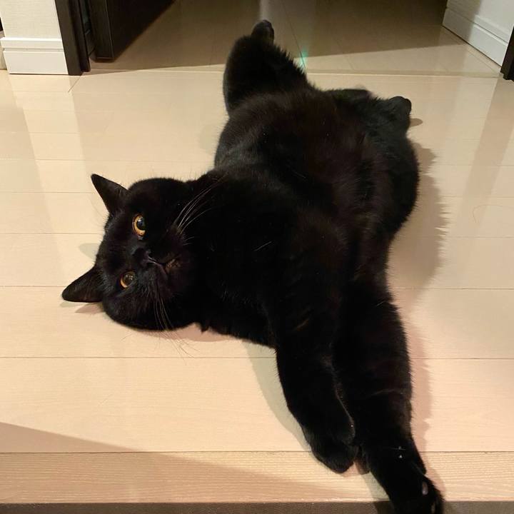 4a425499 132a 4902 a848 fe55053f2d41 1664371878277