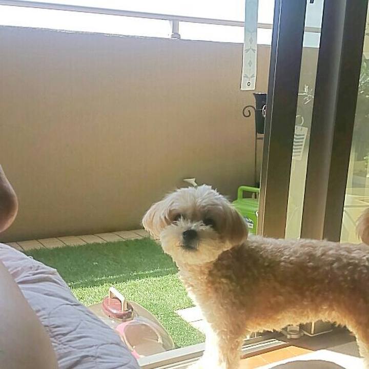 4a429ce4 a9f7 47bb 8249 8c888bada520 1570236815353