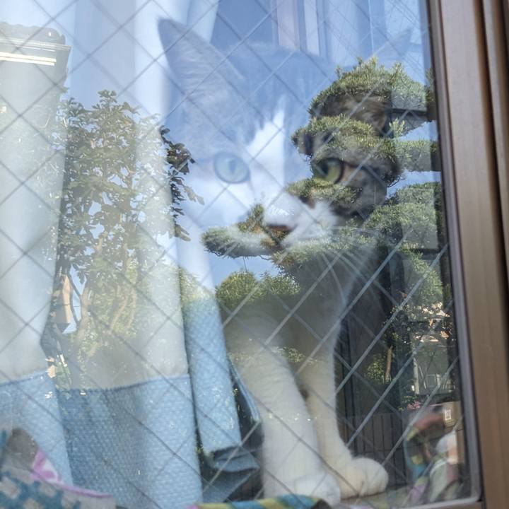 4a42ade7 b327 47e5 8078 d46164c9b148 1690151173162