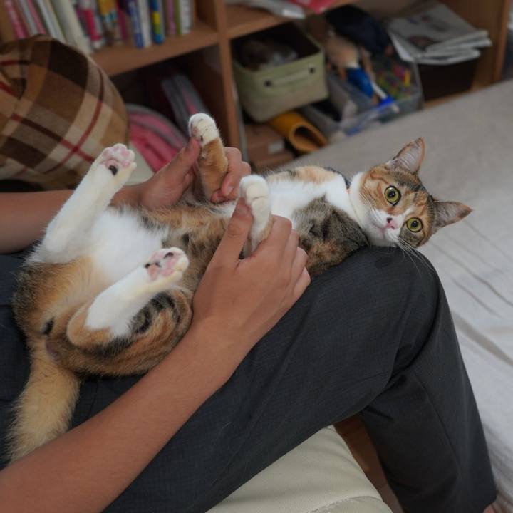 4a42b69e ba63 415d abc2 1447f9582363 1596200134159