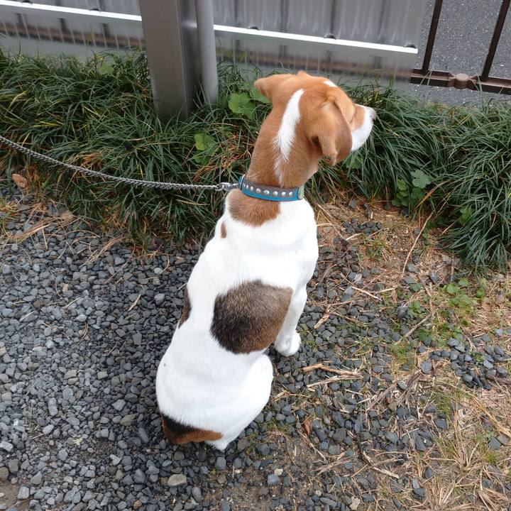 4a42e806 01c2 4f07 84fc 35be15b1861e 1575255239853