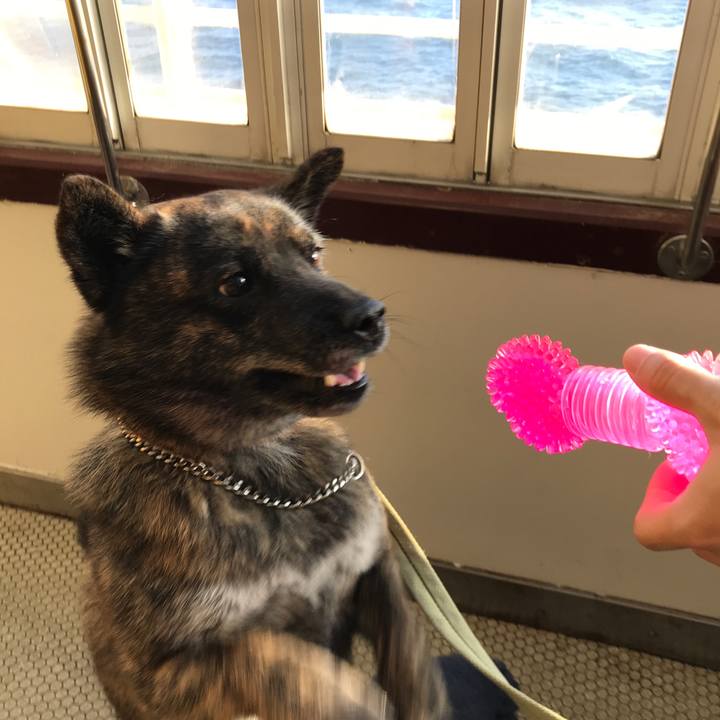 4a42f887 9f95 453c 92b9 cfeb7a6ee3b9 1556746526425