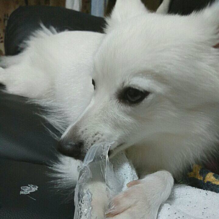 4a430993 8f34 4dfe 91b2 7ee8926c6974 1508287278157