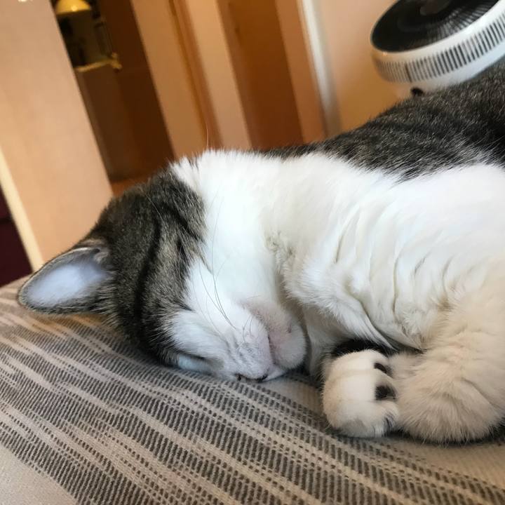 4a4329d9 59b1 4dc3 b9dd b9178446c29d 1569326169550