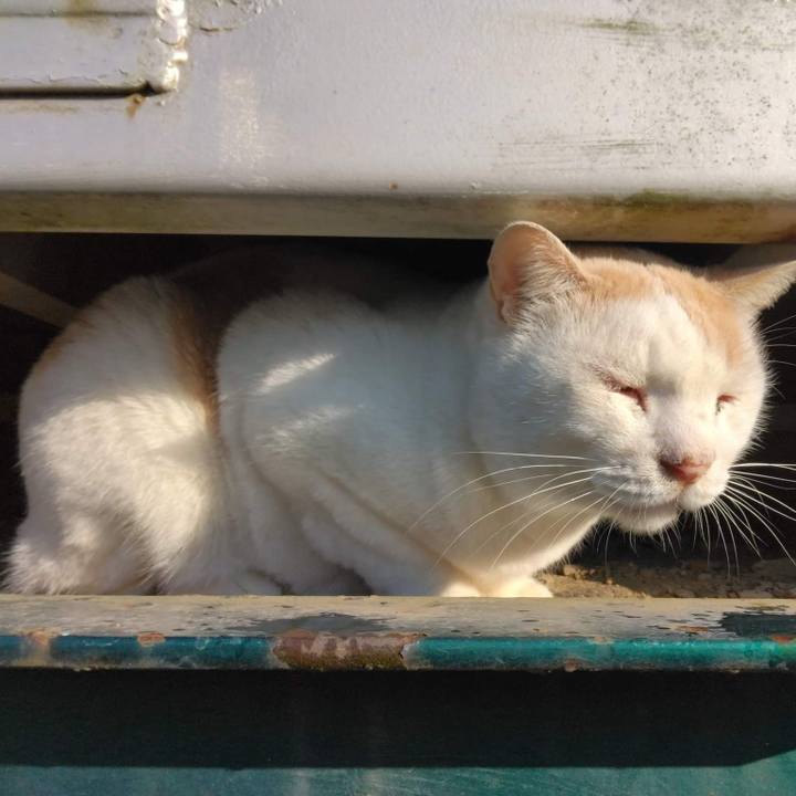 4a434661 53c3 4cd5 9b23 6df888c62616 1668133167750