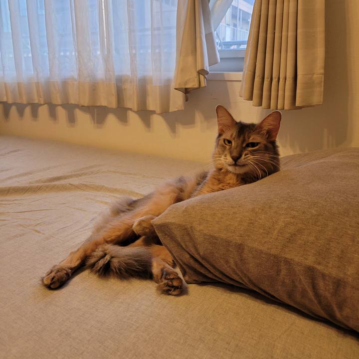 4a4386b1 5217 47eb 809e 85d28601a775 1633508110572