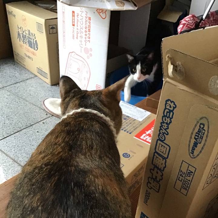 4a43924a 911a 4428 b538 c1d168f6aeb7 1651138048300