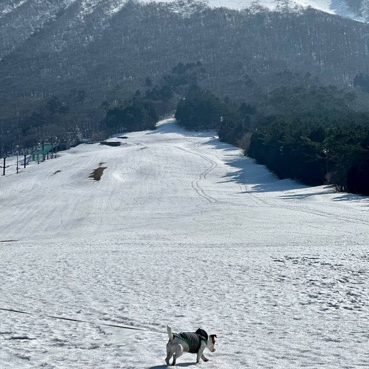 4a43c890 bd14 417b 9a8f 3a89f4df2edd 1742794755312