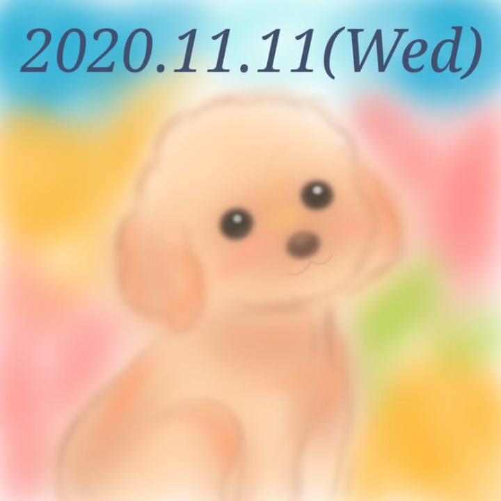 4a43f30a 4a4b 40e2 9a80 753834d75ccc 1605093795629