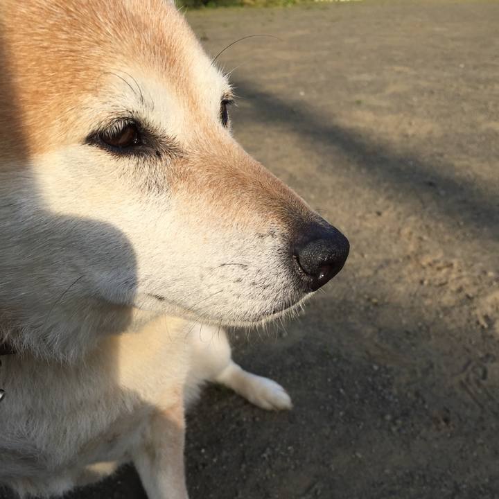 4a440082 c51f 4944 a8ed 5925966c703f 1523582868630