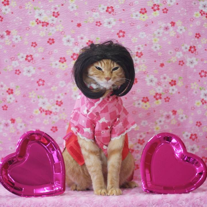 4a441064 caee 4b77 8500 1cfcb3592fc1 1646166589758