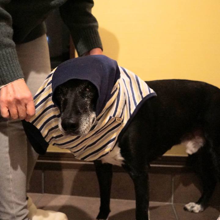 4a443ecb f480 4151 b552 6cde40fdc0da 1766572946548