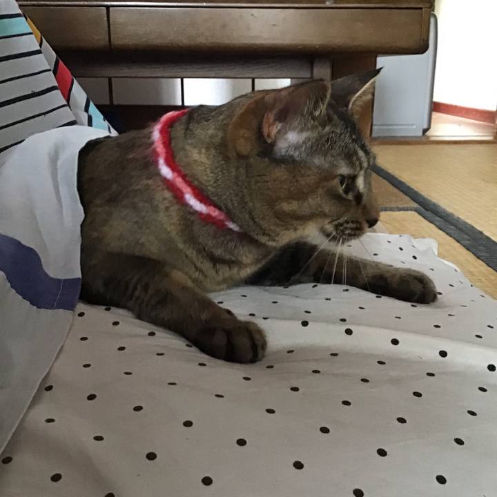 4a44415c 0138 45d6 9b77 f103c164b57e 1604801986192