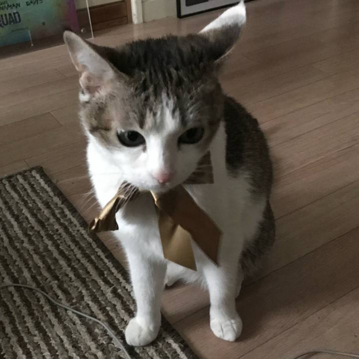 4a446602 1b49 4692 8b05 994b59c93db8 1652846865571