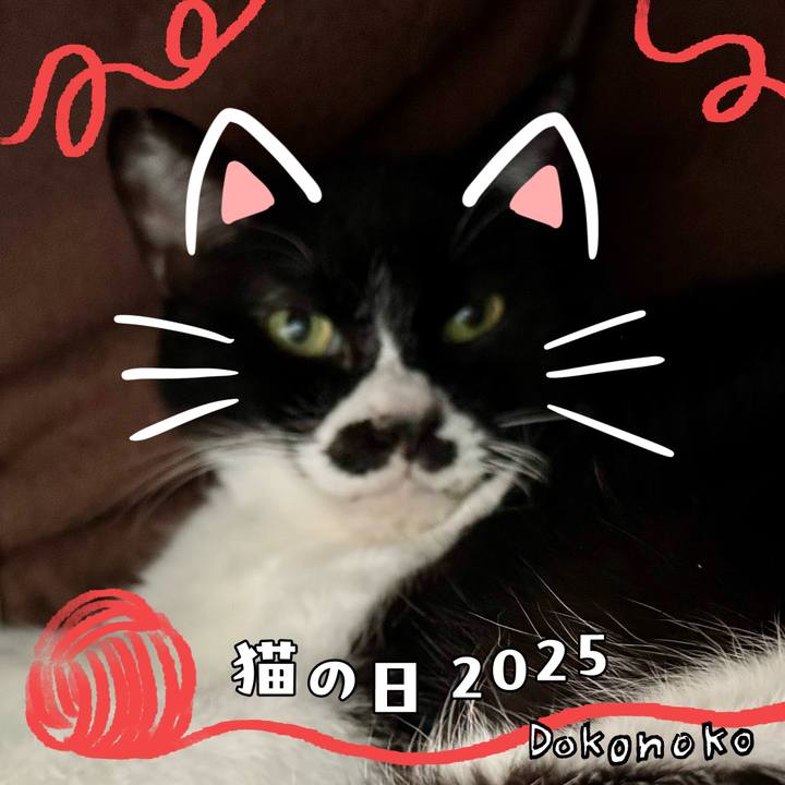 4a44b2a6 c6e4 4413 b6a1 6c9907535007 1740104760388