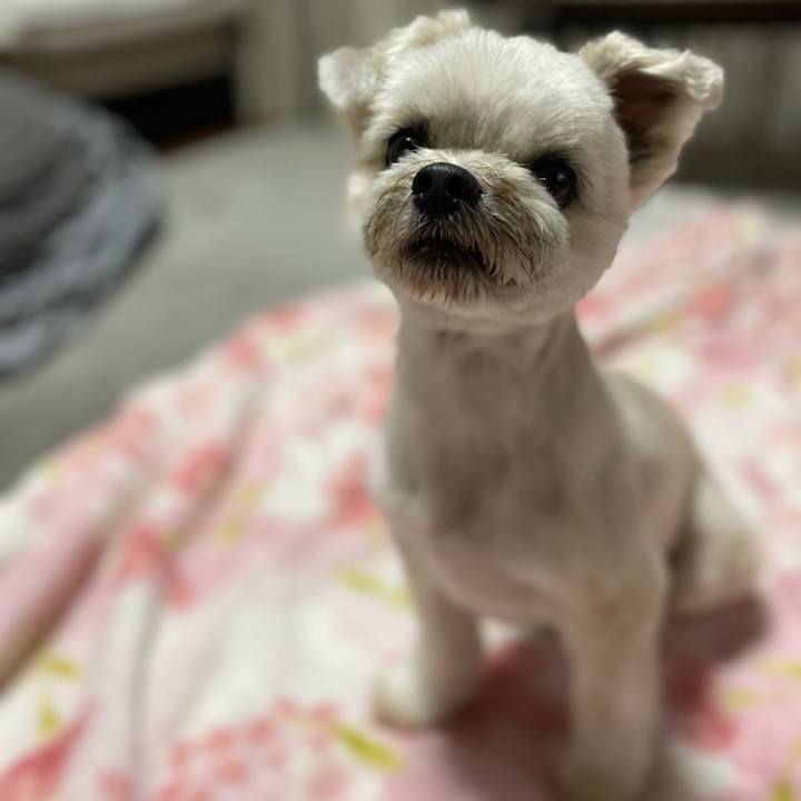 4a44dee0 d4aa 4444 a739 139f7f184445 1681994103626