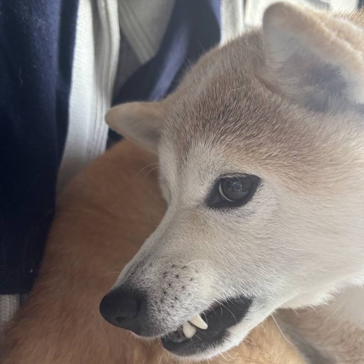 4a44f0b5 4ff3 4315 b63f 6e9c2747be2b 1744752106300